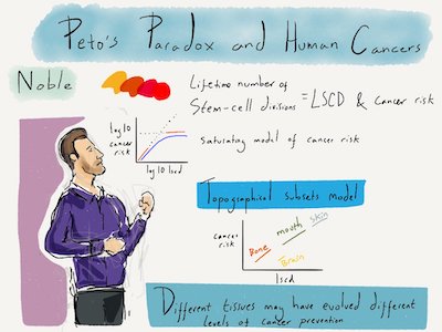 Peto's paradox and human cancers