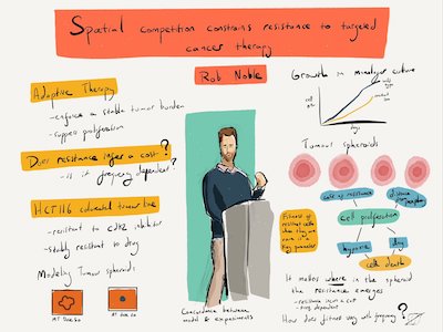 Spatial competition constrains resistance to targeted cancer therapy